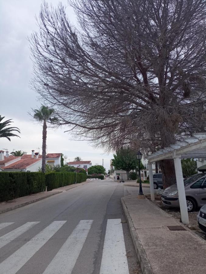 Alojamiento Con Piscina Y Chiringuito Denia Exteriör bild