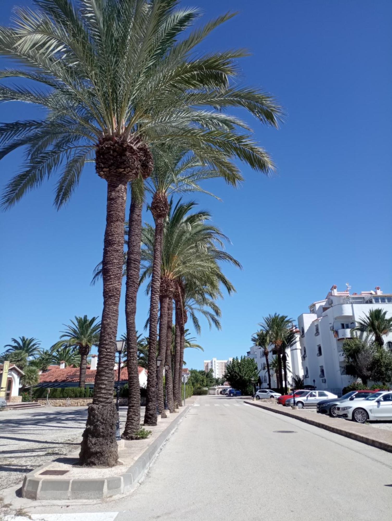 Alojamiento Con Piscina Y Chiringuito Denia Exteriör bild